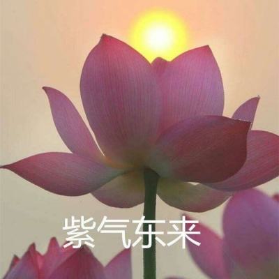 乐宝体育全新版